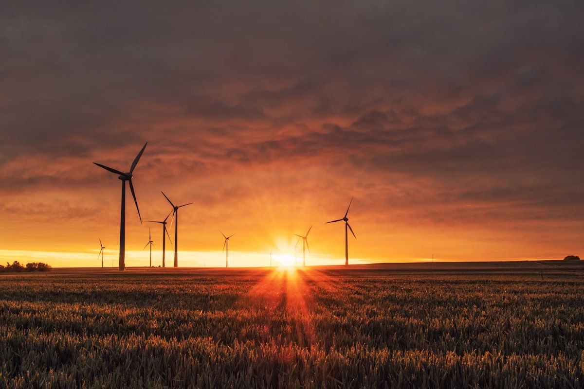 Wind turbines on a renewable energy farm
